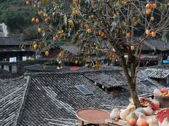 -林坑古村落