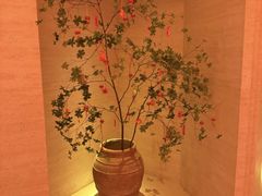 -舒小悦·舒养SPA·古法推拿(光环中心店)