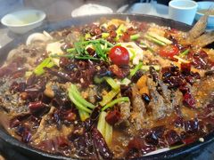 -老板恋上鱼(恒隆广场店)