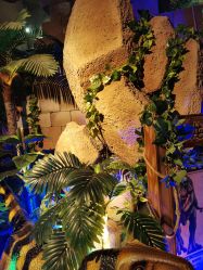 -恐龙探索乐园(磁器口店)