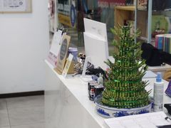 -樱花国际日语(徐家汇中心)