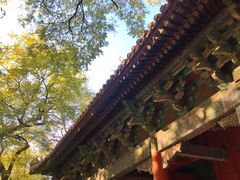 -北京国子监胡同