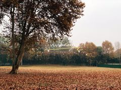 -河南省黄河迎宾馆