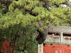 -潭柘寺景区