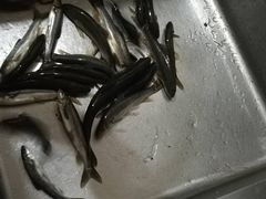 -邱二餐馆