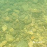 最长漂流线3小时｜贵州高过河漂流我来啦！