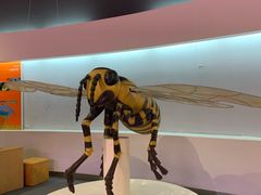 -陕西自然博物馆