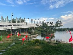 -大兴滨河森林公园