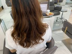 -潘多拉Hairsalon