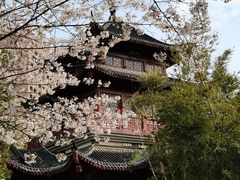 -堤角公园