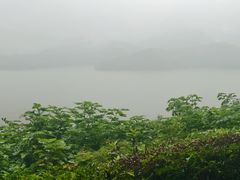 -天乐农家鱼头王(天目湖店)