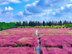 -嘉北郊野公园