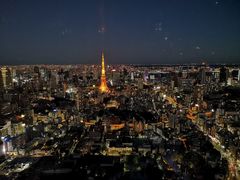 -六本木新城展望台(东京城市景观)