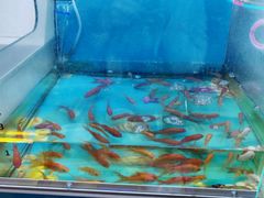 -汤姆熊欢乐世界(光启城店)