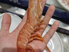 -丰卓会海鲜自助(中润大道店)