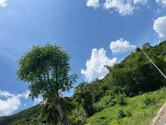 -三亚南山文化旅游区