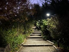 -高尔山公园