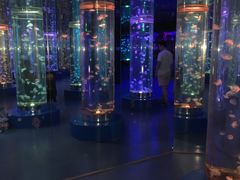 -梦幻海洋王国(吾悦广场张家港店)