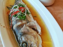 -新镇江酒家(南京西路店)