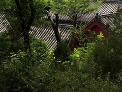 -沂蒙山旅游区云蒙景区(蒙山国家森林公园)