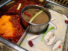 辣菌骨锅底-巴渝瓦肆重庆鲜火锅(宝龙环湖店)