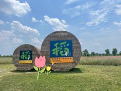 -嘉北郊野公园