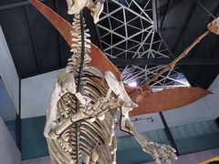 -湖南省地质博物馆