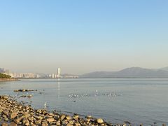 -深圳湾公园(南山区)