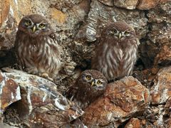 -中国湿地博物馆