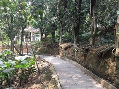-清溪大王山森林公园