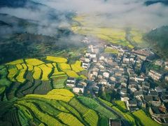 -婺源风景区