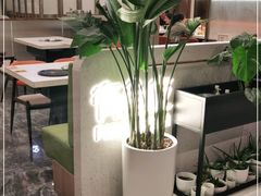 -有鱼吃·纸包烤鱼(曲江创意谷店)