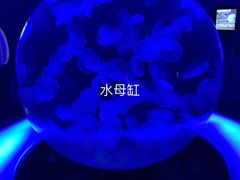 -萌宠奇缘