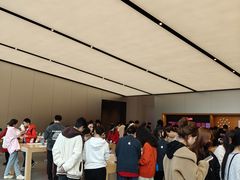 -Apple零售店(天环广场店)