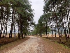 -Club Med地中海俱乐部·桂林度假村