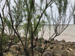 -吴淞炮台湾湿地森林公园烧烤区