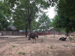 -石家庄市动物园