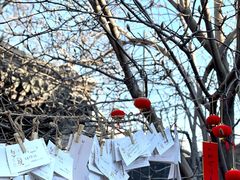 -VOYAGE COFFEE(北锣鼓巷店)