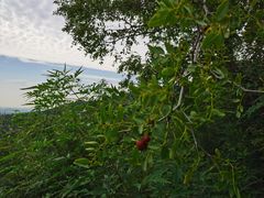 -北京西山国家森林公园