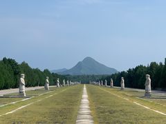 -清东陵