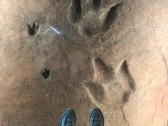 -湖南省地质博物馆