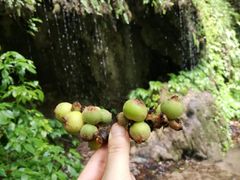 -南江大峡谷