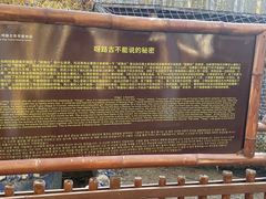 -呀路古热带植物园