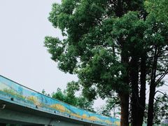 -白鹭湾湿地公园