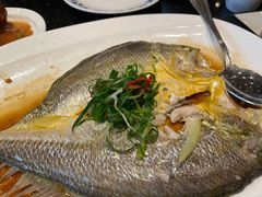 清蒸大黄鱼-正斗·港式粤菜(SKLP店)