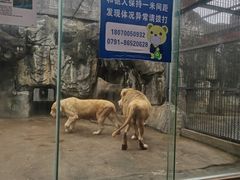 -南昌动物园
