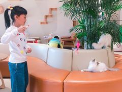 -藏猫猫咖啡主题馆(中央大道店)