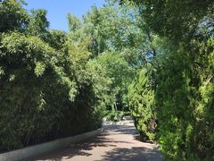 -莲花池公园