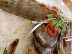 酱虾-皇朝海鲜酒店