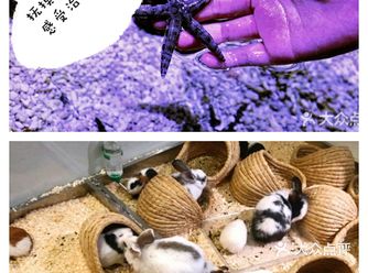 夏日遛娃｜盛夏里抚摸萌宠，感受治愈吧